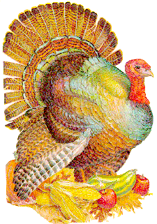 turkey.gif (49990 bytes)